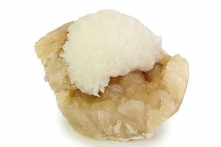 Scolecite Crystals on Honey-Colored Stilbite - India #343043